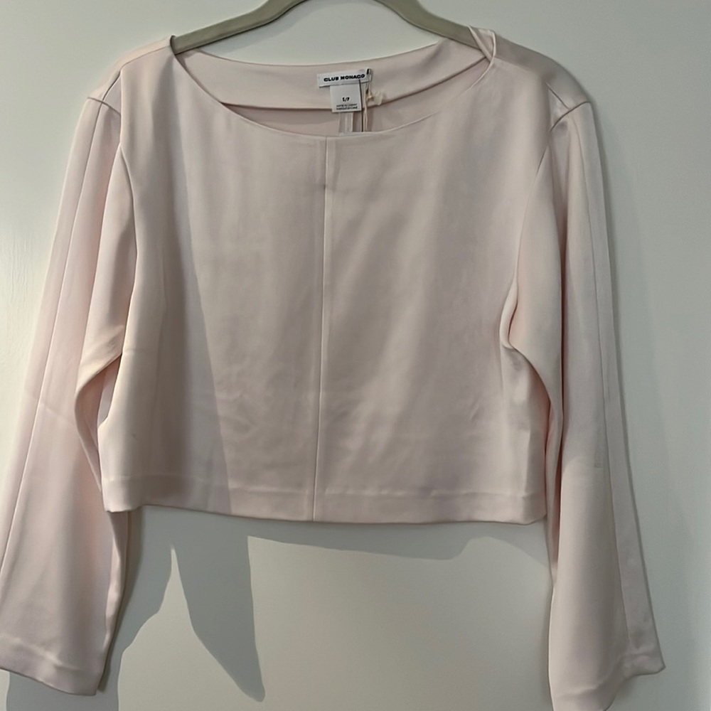 Club Monaco blush silk crop top